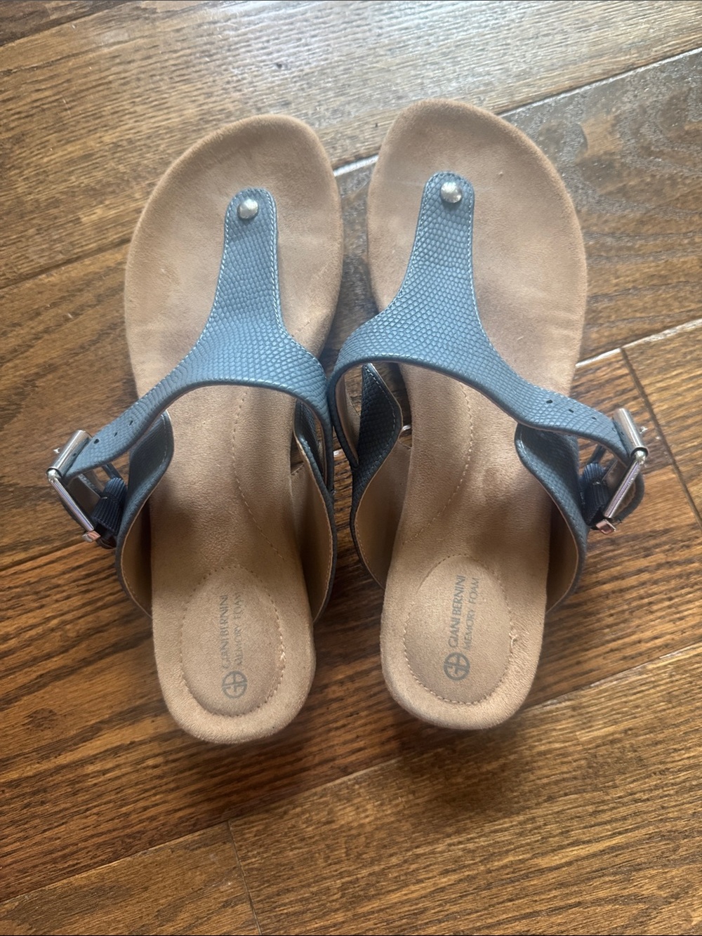 Women’s Blue Toe-Post Wedge Sandals with Adjustable Buckle